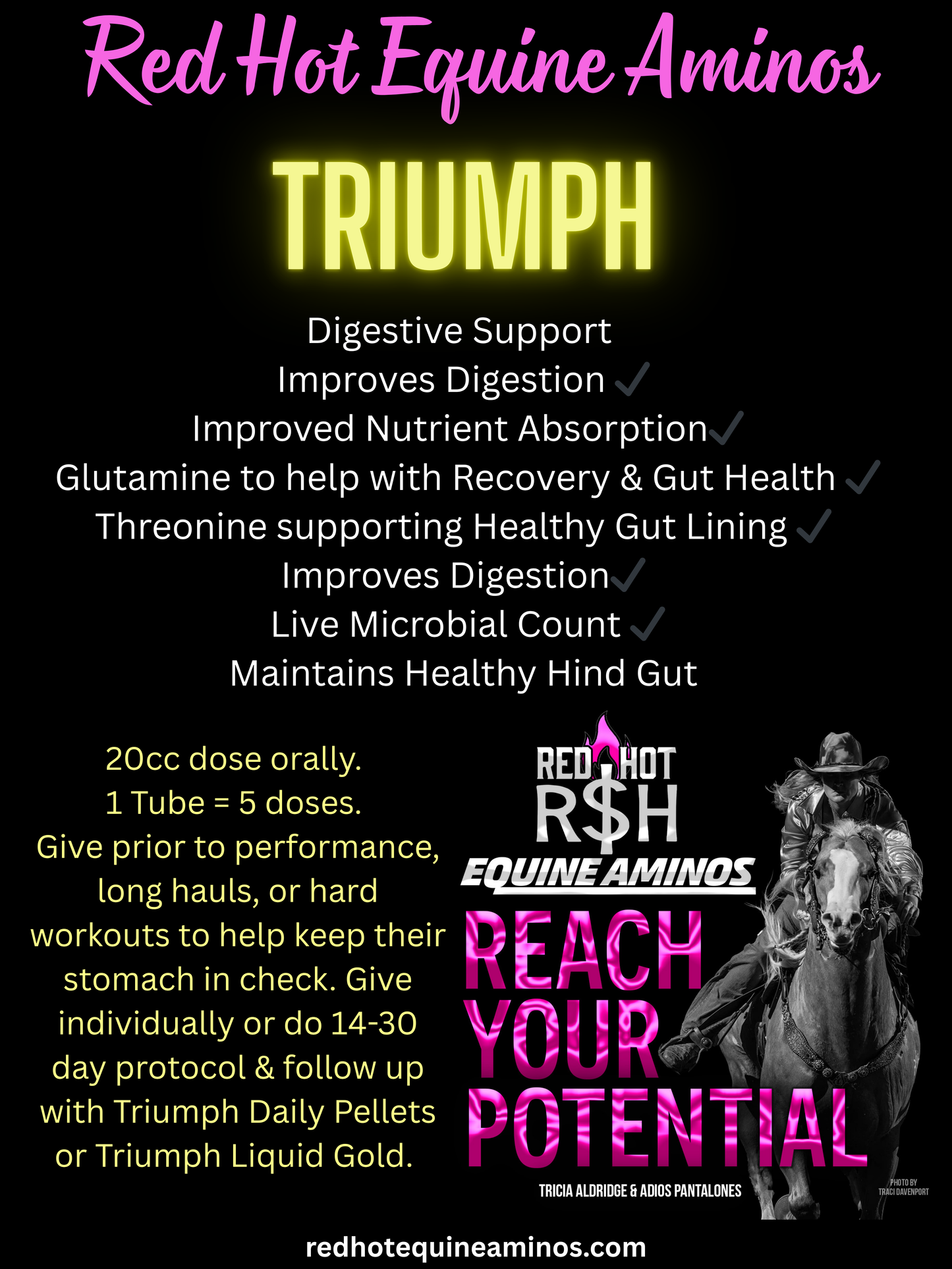 Triumph Digestive Support Paste