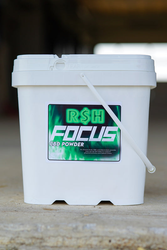 Focus Daily Formula & Paste
