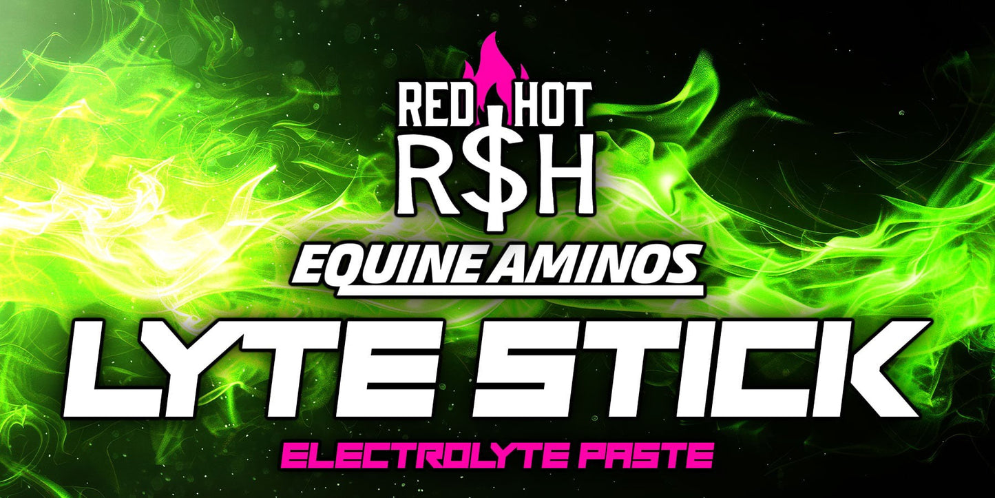 Lyte Stick Electrolyte Paste