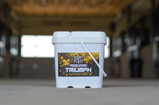 Triumph Digestive Support Daily Pellets