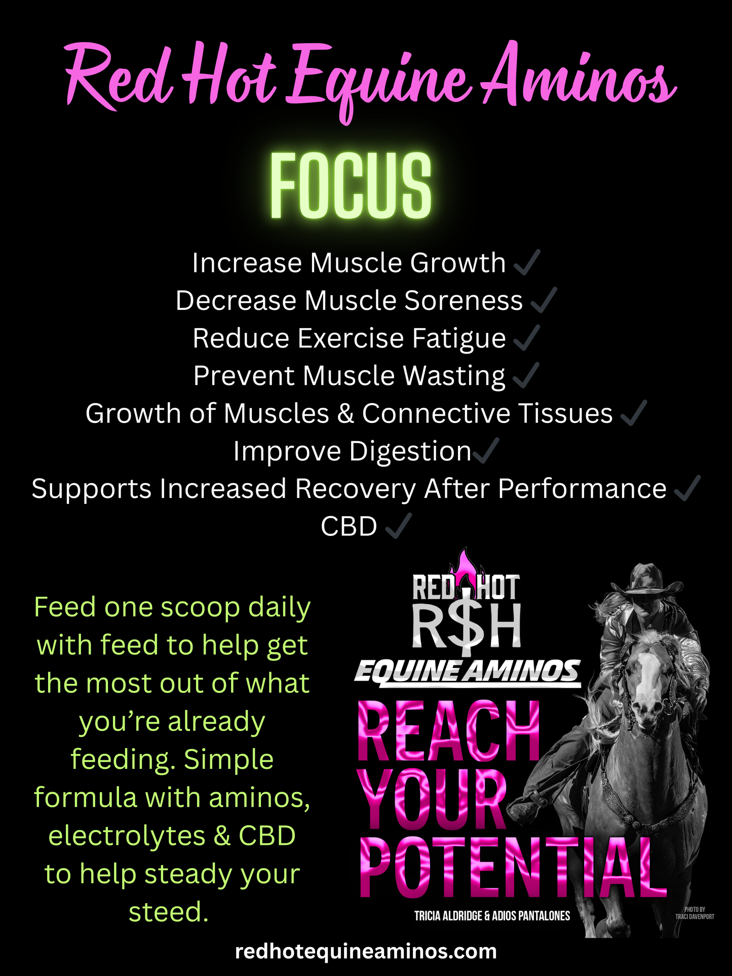 Focus Daily Formula